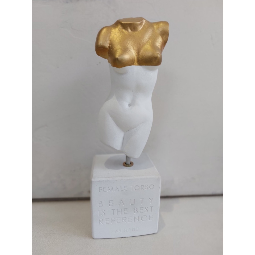 Female Torso Medium "Beauty is the best reference - Aristotle"